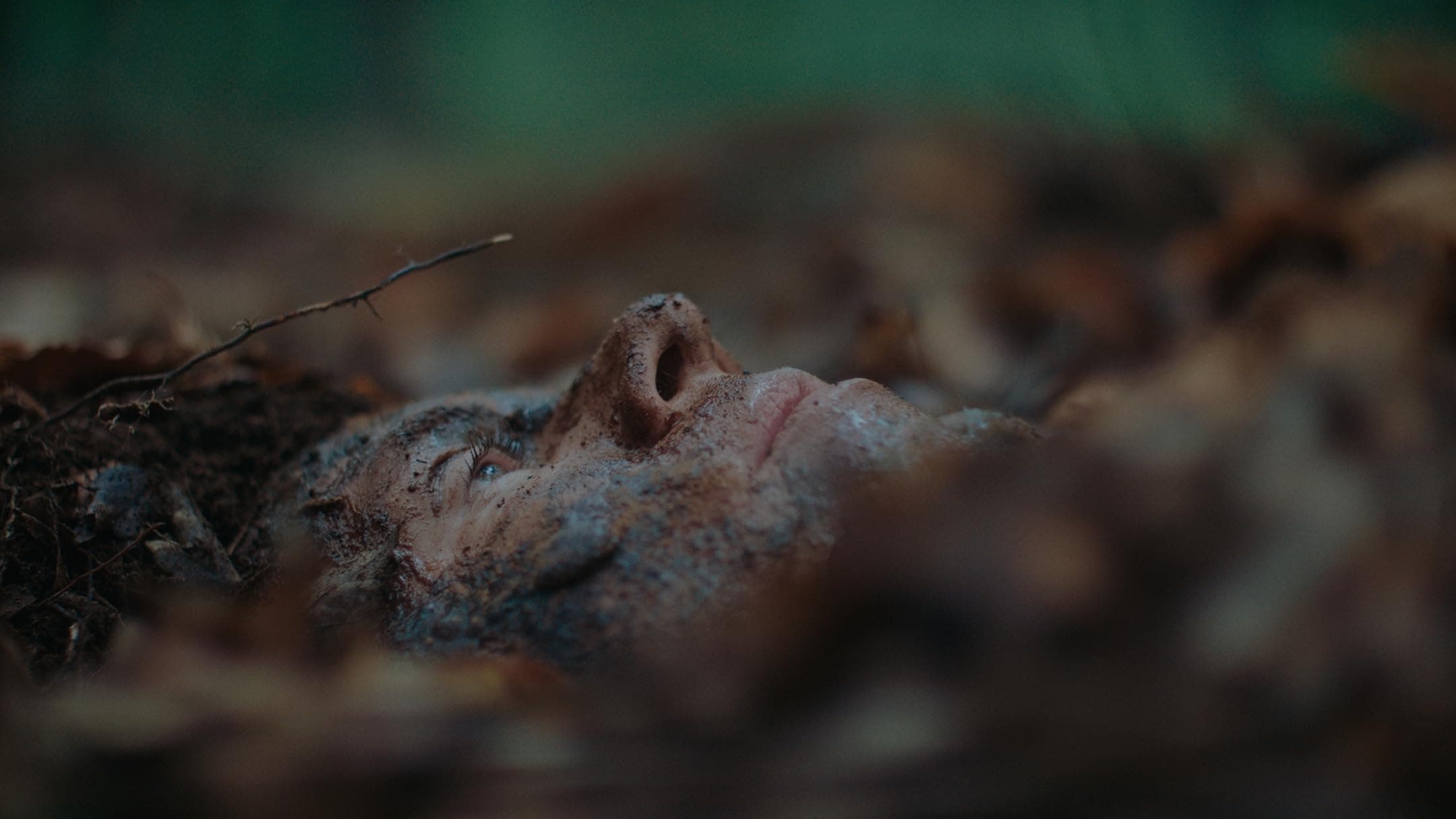 The Woods Are Real (2024) [NoSub]