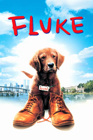 Fluke (1995) เกิดใหม่กลายเป็นหมา