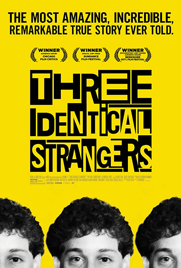 Identical Strangers (2018) แฝดสามแปลกหน้า