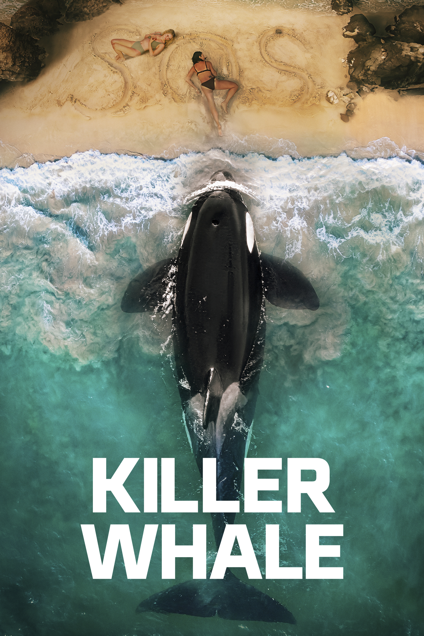 Killer Whale (2026) [ซับไทย]
