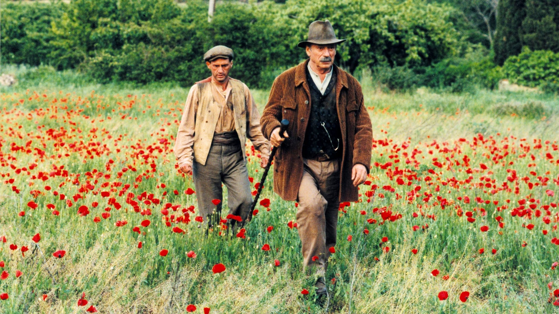 Jean de Florette (1986)